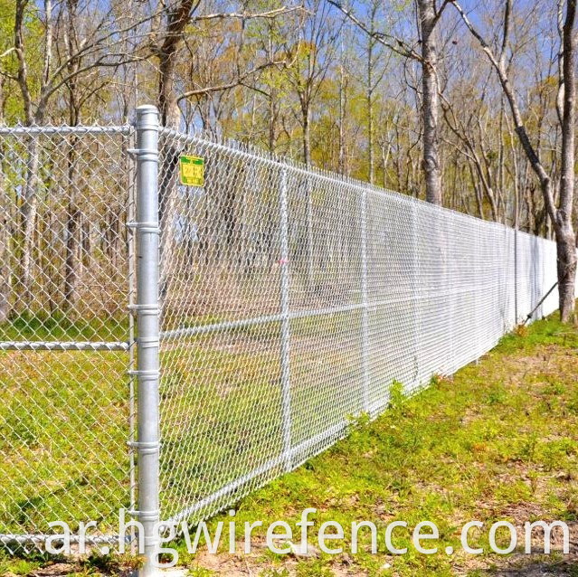 Chain Link Fence